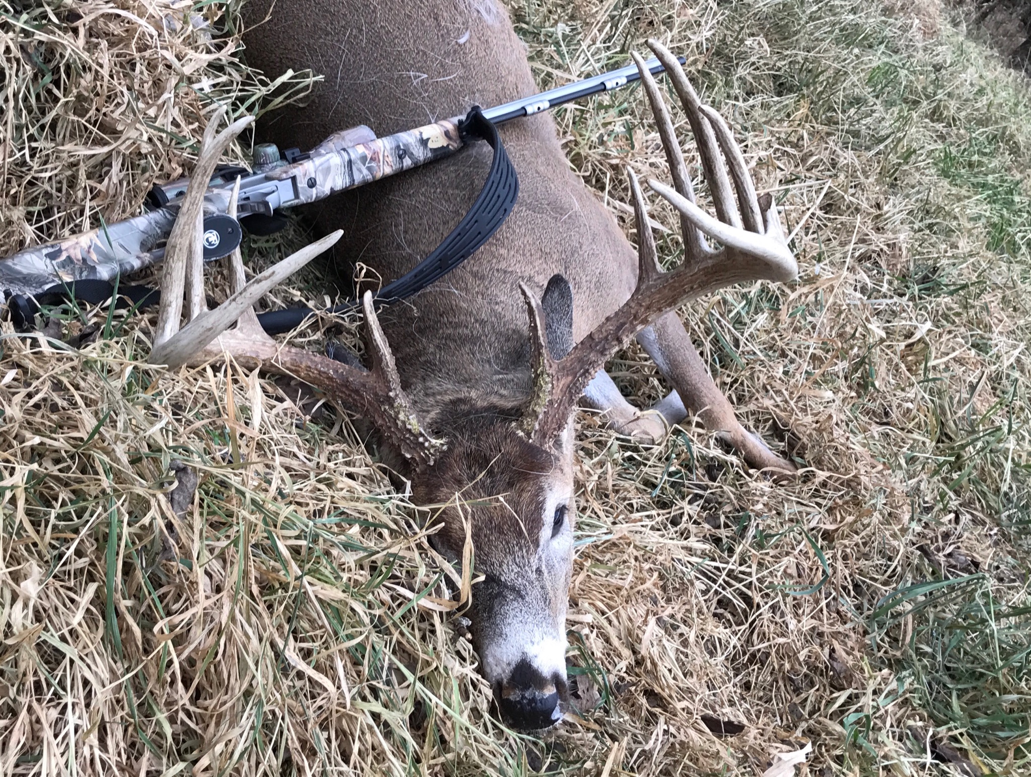 LATE SEASON PRODUCES BIG