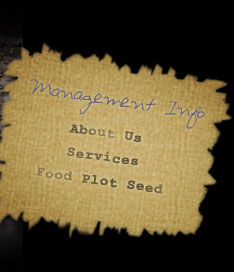 Management Info