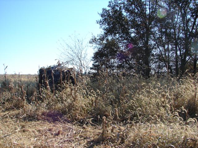 Ground Blinds Seem To Be Used More Each Year