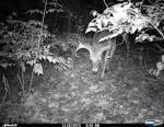 2012 camp cam buck