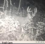 MikeTrailcam